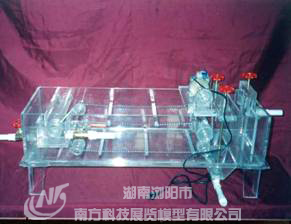 ������ˮ̎��S���w�������wģ��